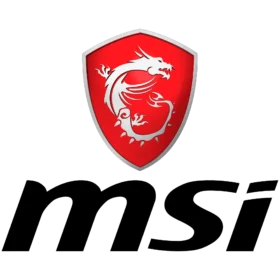 MSI