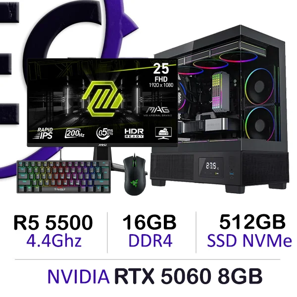 Setup Game Complete PC with Ryzen 5 5500 and RTX 5060 8GB