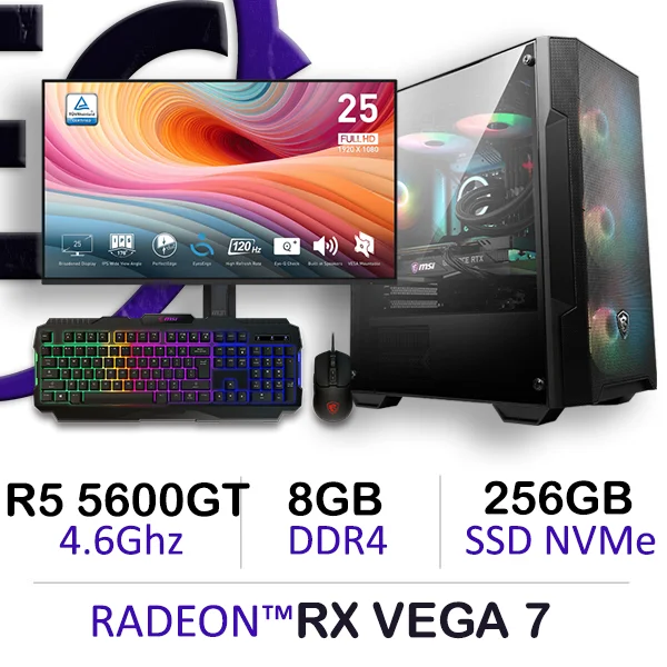 Setup Game Complete Ryzen 5 5600GT RX VEGA 7 8GB DDR4 256GB NVMe