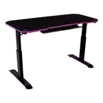 Gaming Desk